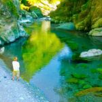 でっっっっかい魚しかおらへんやんここ…