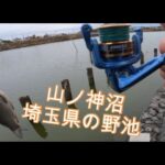 埼玉県 野池 山ノ神沼 バス釣り調査 おかっぱりポイントを探す旅