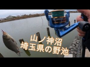 埼玉県 野池 山ノ神沼 バス釣り調査 おかっぱりポイントを探す旅