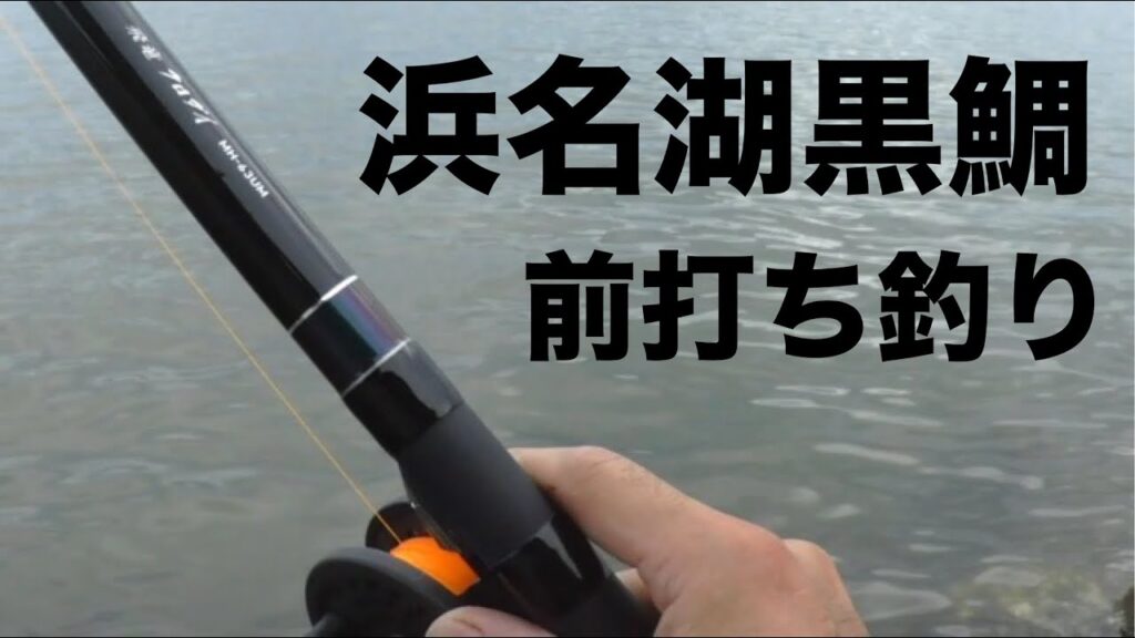 浜名湖黒鯛釣り。カニで複数釣果を狙った