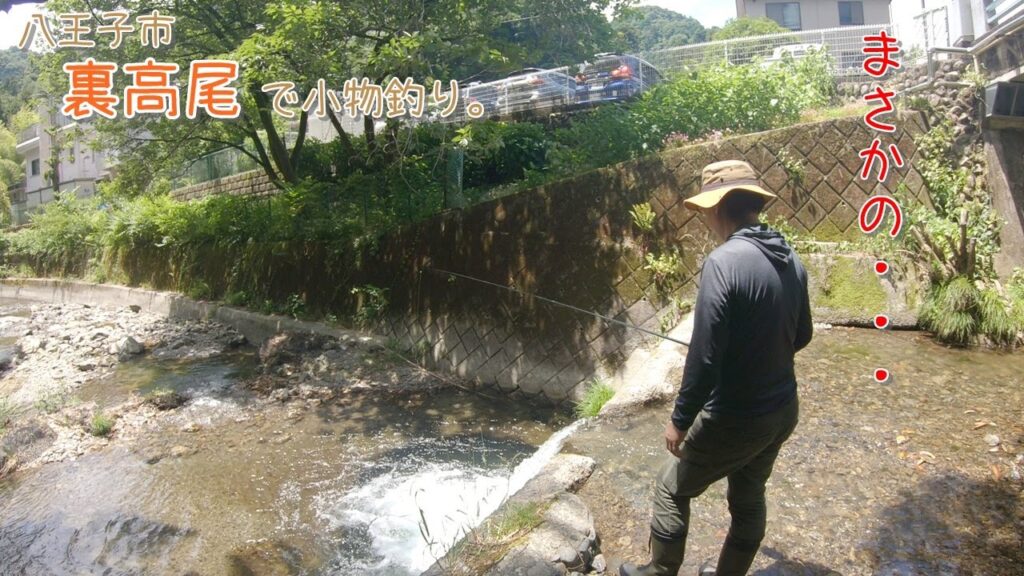 こんな場所でまさかの・・・！   八王子市 裏高尾で小物釣り。