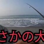 夏の遠州灘サーフへ超朝一から釣りに行ったら…