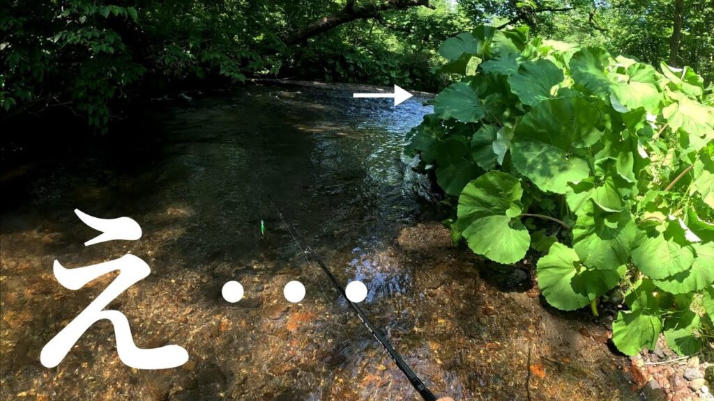 【渓流釣り】再びヤツが現れる
