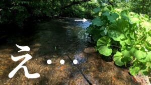 【渓流釣り】再びヤツが現れる