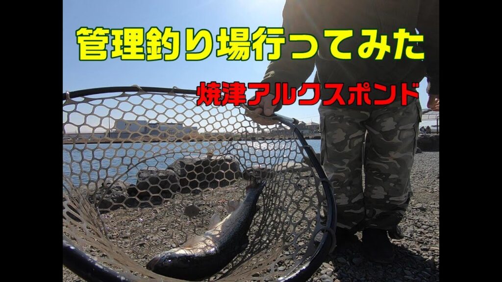 焼津の管理釣り場にいってきました