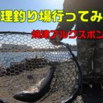 焼津の管理釣り場にいってきました