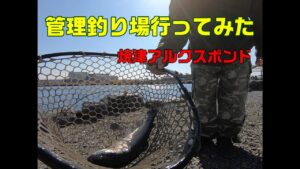 焼津の管理釣り場にいってきました