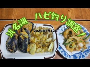 浜名湖　ハゼ釣り調査！　　＃浜名湖釣り　＃浜名湖ハゼ釣り　＃ハゼ釣り