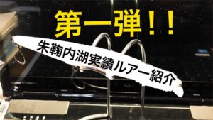 【第一弾!】朱鞠内湖実績ルアー紹介