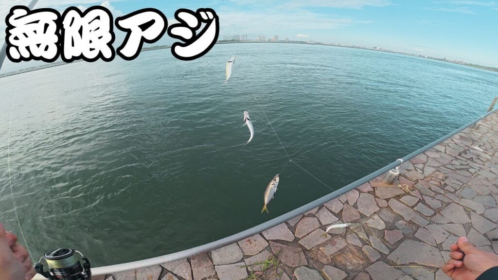 【浜名湖】アジングとサビキで遊べる夏の海釣り公園
