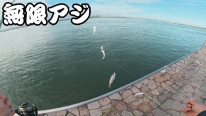 【浜名湖】アジングとサビキで遊べる夏の海釣り公園