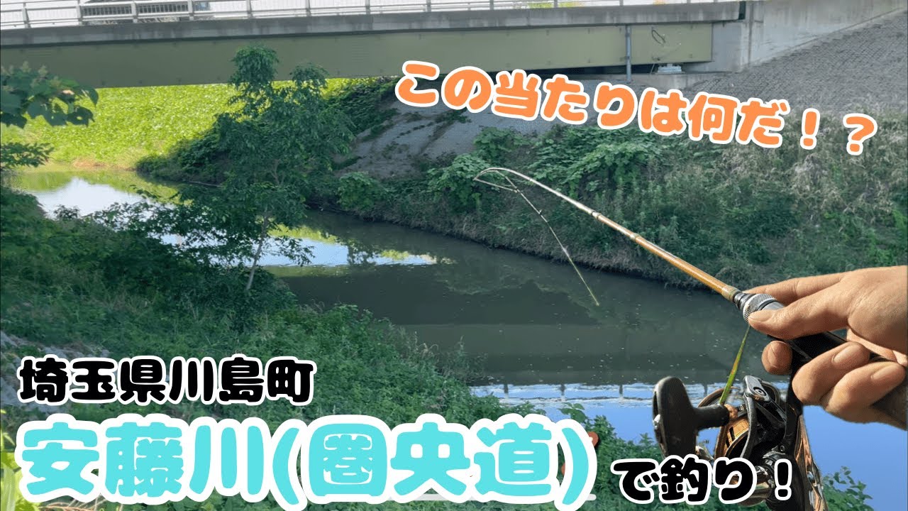 この当たりは何だ！？埼玉県川島町安藤川で釣り！