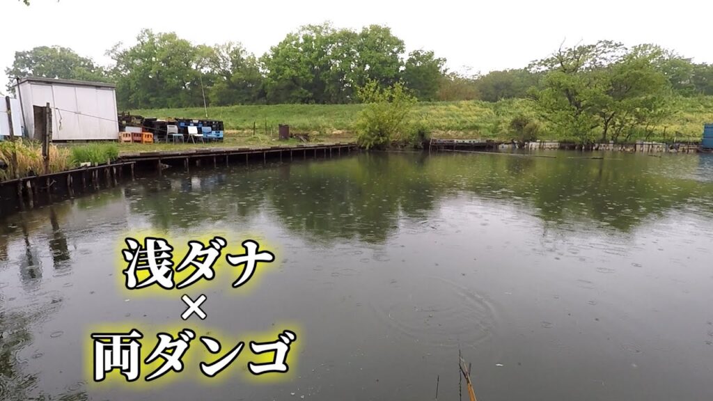 【九頭竜沼】へらぶな釣りを再開した思い出の釣り場で浅ダナ両ダンゴの練習。埼玉県東松山市。へらぶな釣り。