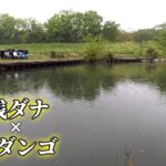 【九頭竜沼】へらぶな釣りを再開した思い出の釣り場で浅ダナ両ダンゴの練習。埼玉県東松山市。へらぶな釣り。