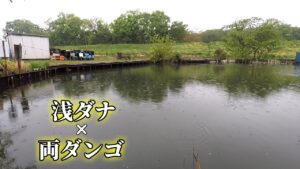 【九頭竜沼】へらぶな釣りを再開した思い出の釣り場で浅ダナ両ダンゴの練習。埼玉県東松山市。へらぶな釣り。