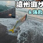 【遠州灘＆浜名湖】サーフで青物釣って浜名湖でエサ無しサビキ！