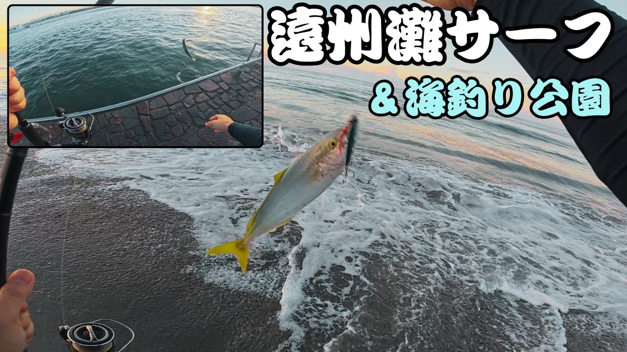 【遠州灘&浜名湖】サーフで青物釣って浜名湖でエサ無しサビキ!