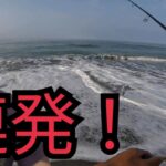 夏の遠州灘サーフで釣り