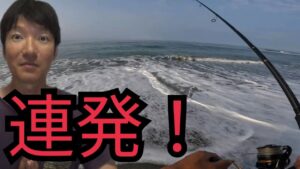 夏の遠州灘サーフで釣り