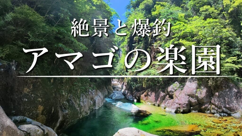 【渓流釣り】天然アマゴ爆釣！地獄の渓流に存在した渓魚の楽園へ…！