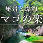 【渓流釣り】天然アマゴ爆釣！地獄の渓流に存在した渓魚の楽園へ…！