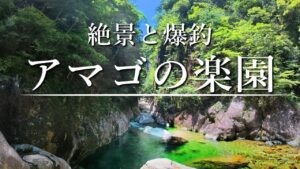 【渓流釣り】天然アマゴ爆釣！地獄の渓流に存在した渓魚の楽園へ…！