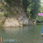 冷たくて気持ちよい～♪  相模原市 道志川で小物釣り。