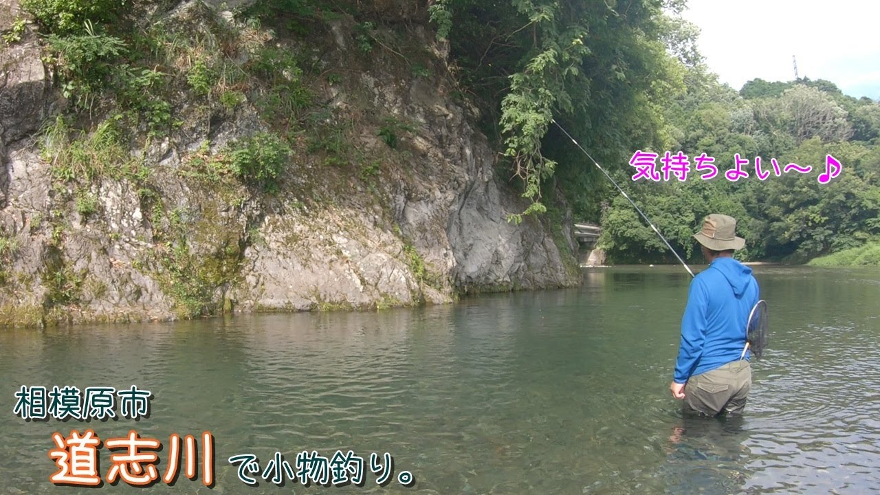 冷たくて気持ちよい～♪  相模原市 道志川で小物釣り。