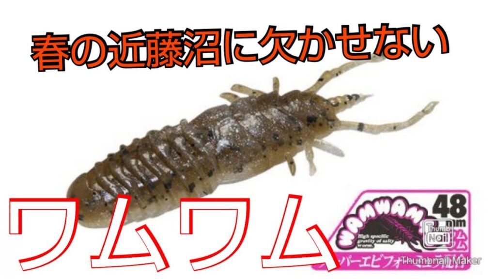 【近藤沼】【バス釣り】春の近藤沼は何故かワムワムばかり喰う