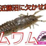 【近藤沼】【バス釣り】春の近藤沼は何故かワムワムばかり喰う