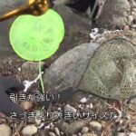 リベンジなるか？管理釣り場トラウト釣行