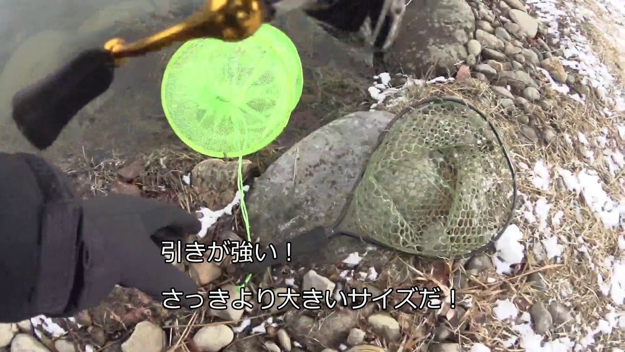 リベンジなるか？管理釣り場トラウト釣行
