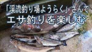 群馬県の管理釣り場「ようらく」さんでエサ釣り、バーベキュー、黄金イクラ実食