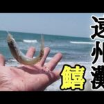【浜名湖釣り】🎣ふらっと寄った遠州サーフでシロギスを狙ってみたら…