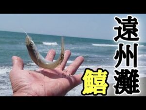 【浜名湖釣り】🎣ふらっと寄った遠州サーフでシロギスを狙ってみたら…