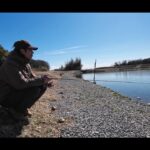 本日も、釣り日和。～ヤシオマスを求めて～【なら山沼漁場】【管理釣り場】【エリアトラウト】【ベイトフィネス】