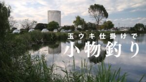 【小物釣り】多くの釣り人で賑わう沼で小物釣り|のべ竿と玉ウキ仕掛けで楽しむ夕方