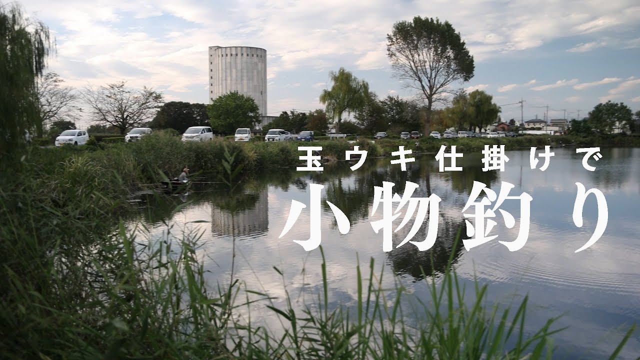 【小物釣り】多くの釣り人で賑わう沼で小物釣り｜のべ竿と玉ウキ仕掛けで楽しむ夕方