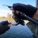 ついにきた！釣れるまで通い詰めたデイシーバス釣り【鶴見川シーバス】