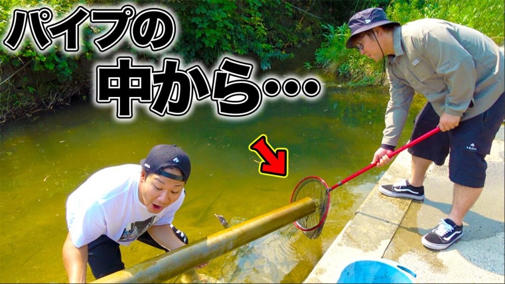 近所の川にザリガニを釣りに行ったら面白すぎて大興奮！？