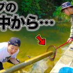 近所の川にザリガニを釣りに行ったら面白すぎて大興奮！？