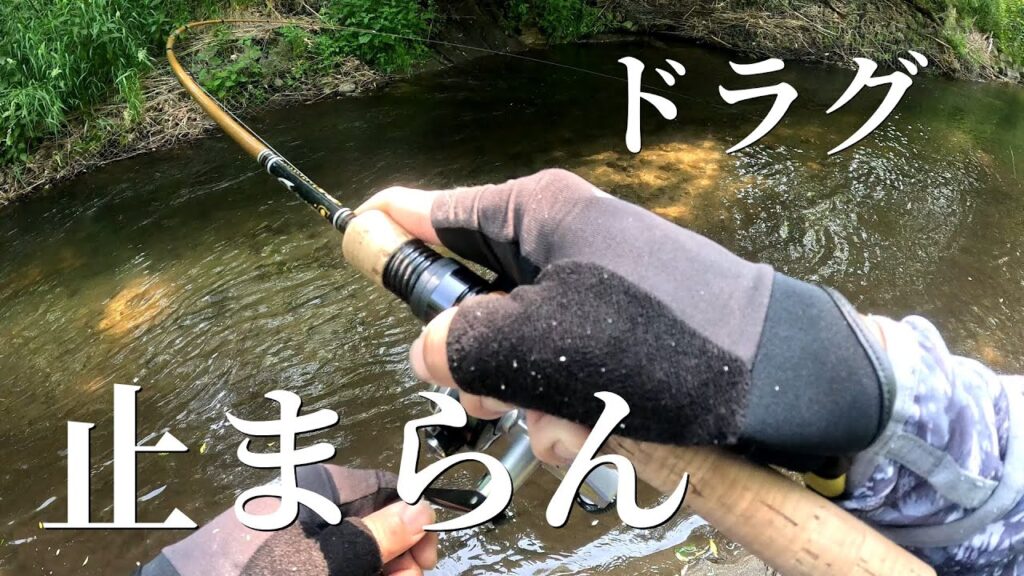 【渓流釣り】ドラグ止まらん…