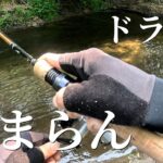 【渓流釣り】ドラグ止まらん…