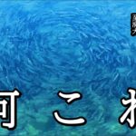 積丹の川でサクラマスが渦を巻く理由【 北海道 釣り 水中映像 】
