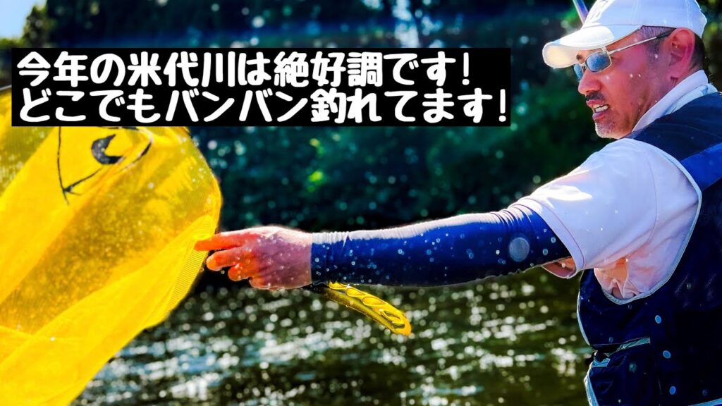 【米代川鮎釣り】今年の米代川は絶好調です! どこでも釣れてます!