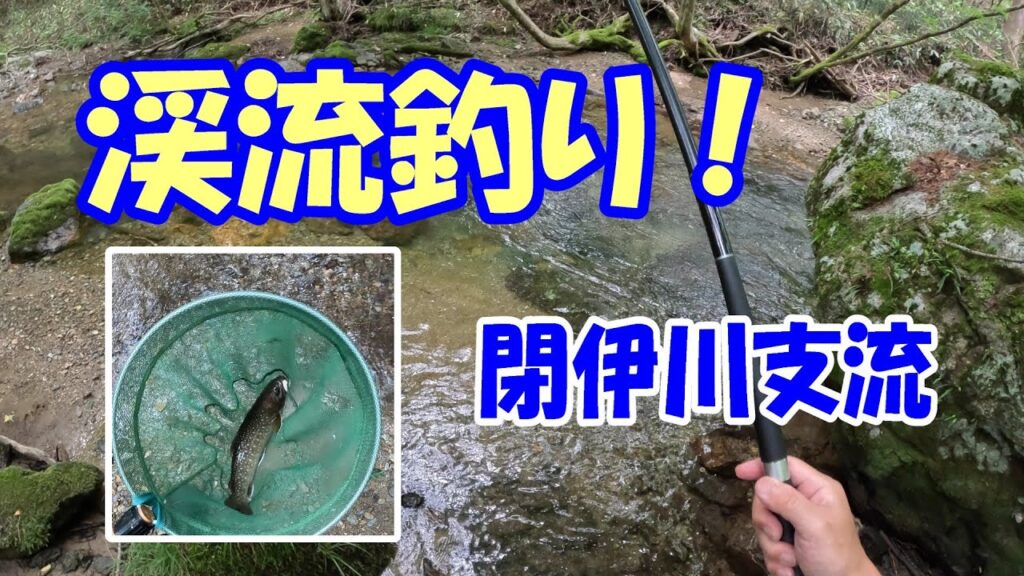 渓流釣り 閉伊川支流(宮古市)