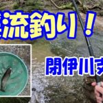 渓流釣り 閉伊川支流(宮古市)