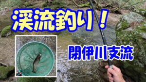 渓流釣り 閉伊川支流(宮古市)