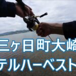 奥浜名湖三ケ日大崎ホテルハーベスト前＃チヌ＃シーバス＃コチ
