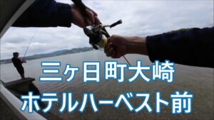 奥浜名湖三ケ日大崎ホテルハーベスト前#チヌ#シーバス#コチ